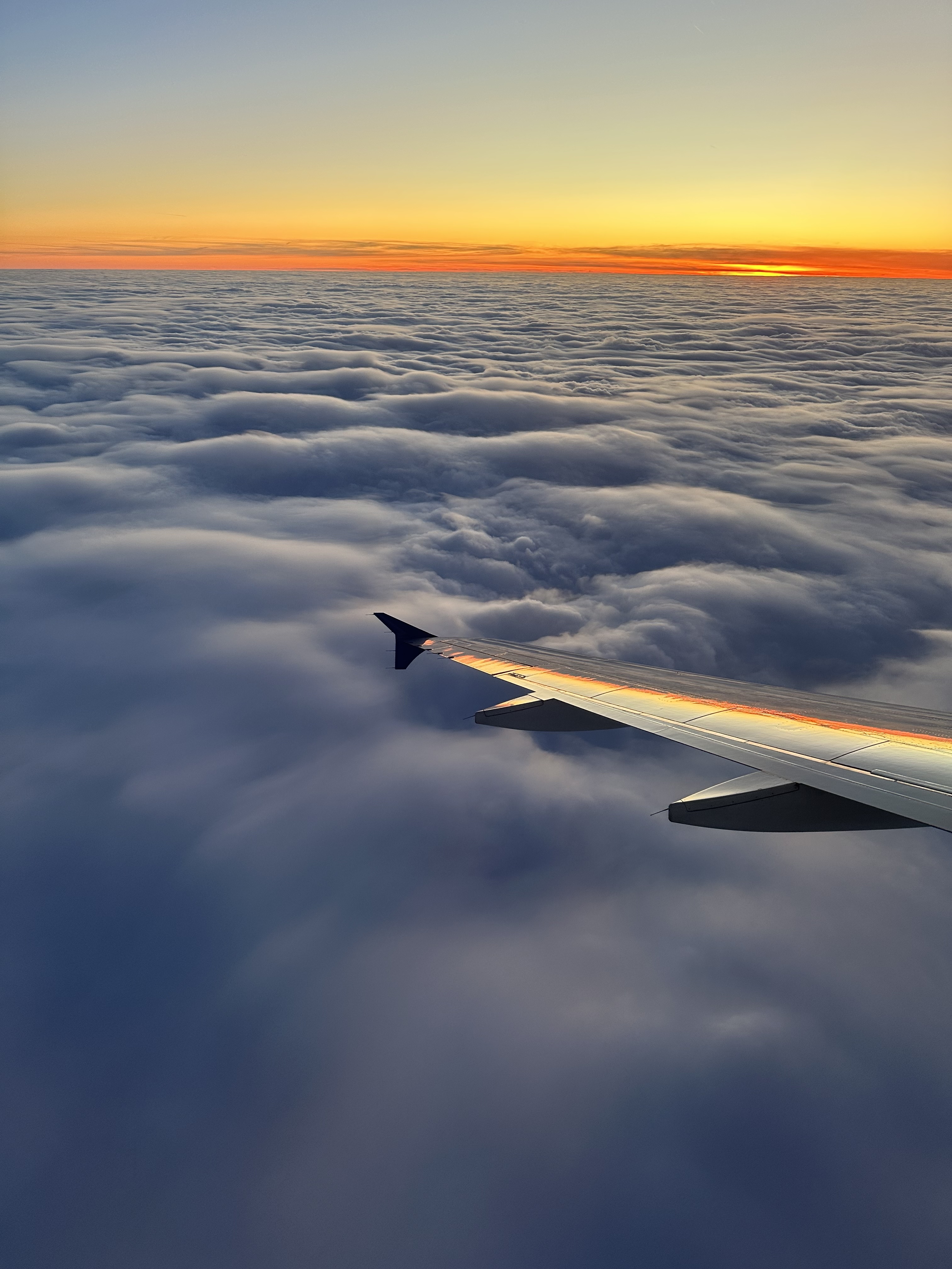 flight